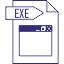 icon exe